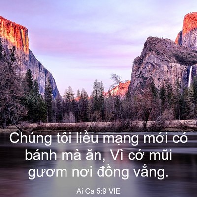 Picture 03 - Ai Ca 5:9 VIE - Chúng tôi liều mạng mới có bánh mà - Bible Verse Picture