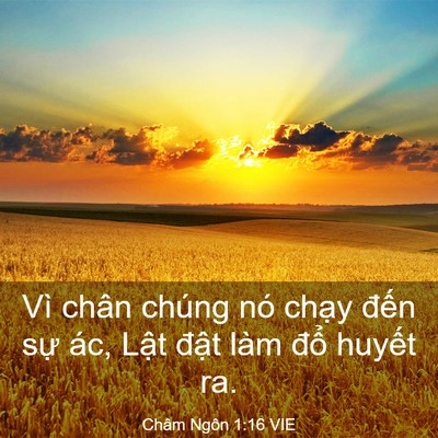 Picture 03 - Châm Ngôn 1:16 VIE - Vì chân chúng nó chạy đến sự ác, - Bible Verse Picture