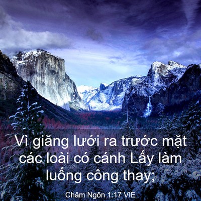 Picture 03 - Châm Ngôn 1:17 VIE - Vì giăng lưới ra trước mặt các loài - Bible Verse Picture