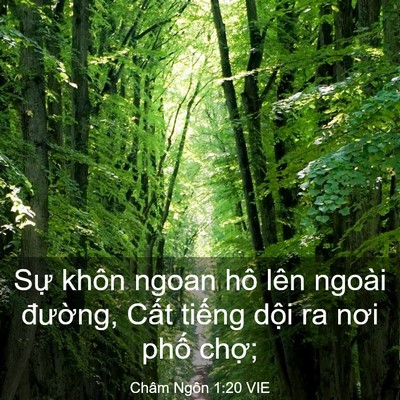 Picture 03 - Châm Ngôn 1:20 VIE - Sự khôn ngoan hô lên ngoài đường, Cất - Bible Verse Picture
