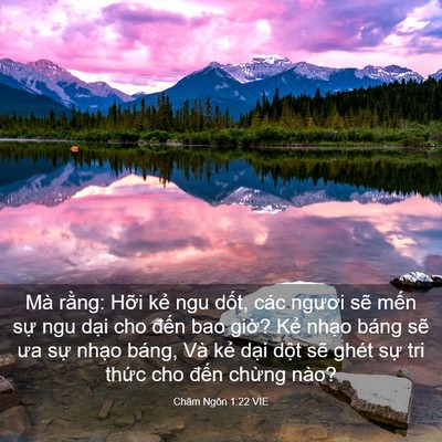 Picture 03 - Châm Ngôn 1:22 VIE - Mà rằng: Hỡi kẻ ngu dốt, các ngươi - Bible Verse Picture
