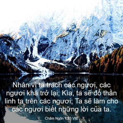 Picture 03 - Châm Ngôn 1:23 VIE - Nhân vì ta trách các ngươi, các ngươi - Bible Verse Picture