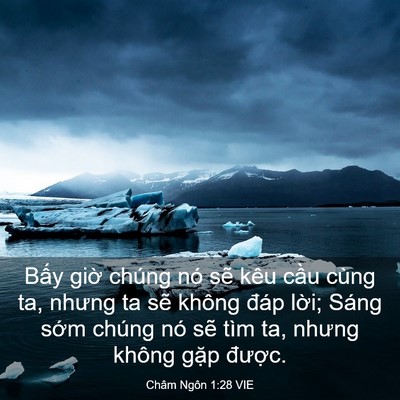 Picture 03 - Châm Ngôn 1:28 VIE - Bấy giờ chúng nó sẽ kêu cầu cùng ta, - Bible Verse Picture