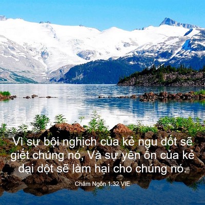 Picture 03 - Châm Ngôn 1:32 VIE - Vì sự bội nghịch của kẻ ngu dốt sẽ - Bible Verse Picture