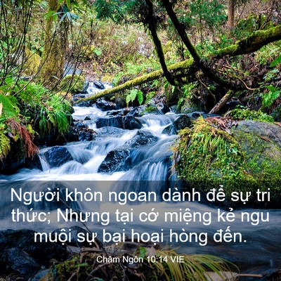 Picture 03 - Châm Ngôn 10:14 VIE - Người khôn ngoan dành để sự tri thức; - Bible Verse Picture