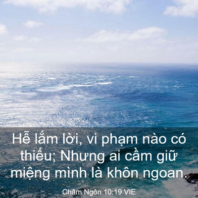 Picture 03 - Châm Ngôn 10:19 VIE - Hễ lắm lời, vi phạm nào có thiếu; - Bible Verse Picture