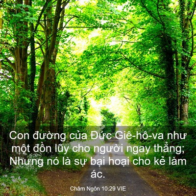 Picture 03 - Châm Ngôn 10:29 VIE - Con đường của Đức Giê-hô-va như một - Bible Verse Picture