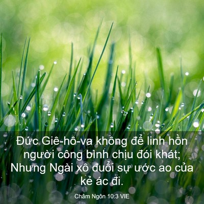 Picture 03 - Châm Ngôn 10:3 VIE - Đức Giê-hô-va không để linh hồn - Bible Verse Picture