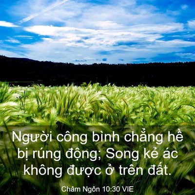 Picture 03 - Châm Ngôn 10:30 VIE - Người công bình chẳng hề bị rúng - Bible Verse Picture