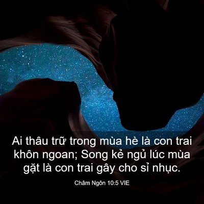 Picture 03 - Châm Ngôn 10:5 VIE - Ai thâu trữ trong mùa hè là con trai khôn - Bible Verse Picture