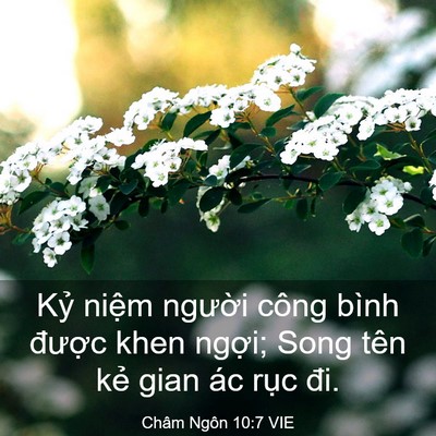 Picture 03 - Châm Ngôn 10:7 VIE - Kỷ niệm người công bình được khen - Bible Verse Picture