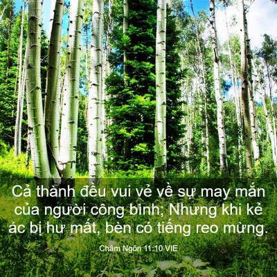 Picture 03 - Châm Ngôn 11:10 VIE - Cả thành đều vui vẻ về sự may mắn - Bible Verse Picture