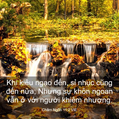 Picture 03 - Châm Ngôn 11:2 VIE - Khi kiêu ngạo đến, sỉ nhục cũng đến - Bible Verse Picture