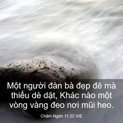 Picture 03 - Châm Ngôn 11:22 VIE - Một người đàn bà đẹp đẽ mà thiếu - Bible Verse Picture