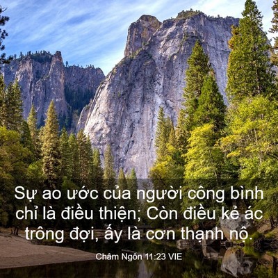 Picture 03 - Châm Ngôn 11:23 VIE - Sự ao ước của người công bình chỉ - Bible Verse Picture