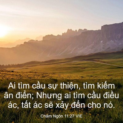 Picture 03 - Châm Ngôn 11:27 VIE - Ai tìm cầu sự thiện, tìm kiếm ân - Bible Verse Picture