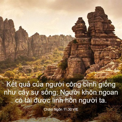 Picture 03 - Châm Ngôn 11:30 VIE - Kết quả của người công bình giống - Bible Verse Picture