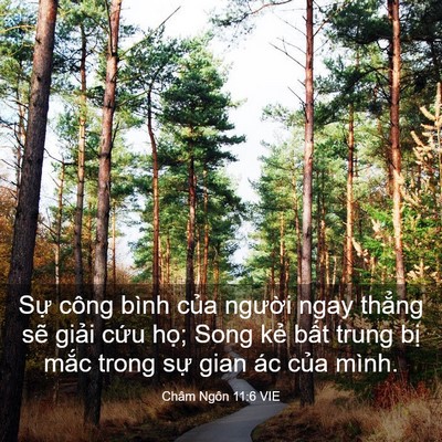 Picture 03 - Châm Ngôn 11:6 VIE - Sự công bình của người ngay thẳng sẽ - Bible Verse Picture