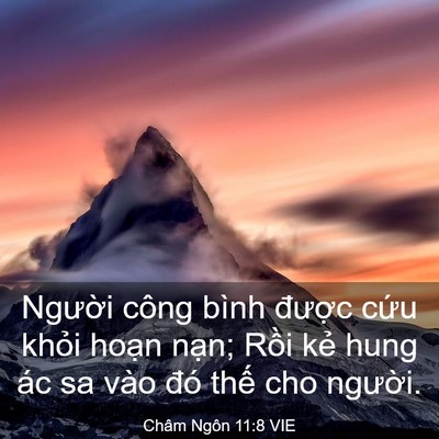 Picture 03 - Châm Ngôn 11:8 VIE - Người công bình được cứu khỏi hoạn - Bible Verse Picture