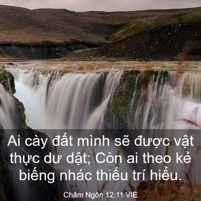 Picture 03 - Châm Ngôn 12:11 VIE - Ai cày đất mình sẽ được vật thực - Bible Verse Picture