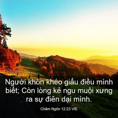 Picture 03 - Châm Ngôn 12:23 VIE - Người khôn khéo giấu điều mình biết; - Bible Verse Picture