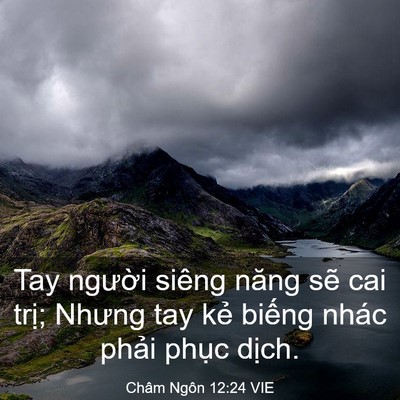 Picture 03 - Châm Ngôn 12:24 VIE - Tay người siêng năng sẽ cai trị; Nhưng - Bible Verse Picture