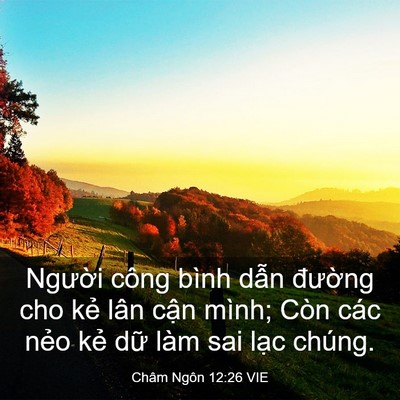 Picture 03 - Châm Ngôn 12:26 VIE - Người công bình dẫn đường cho kẻ - Bible Verse Picture