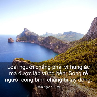 Picture 03 - Châm Ngôn 12:3 VIE - Loài người chẳng phải vì hung ác mà - Bible Verse Picture