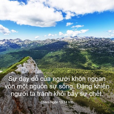 Picture 03 - Châm Ngôn 13:14 VIE - Sự dạy dỗ của người khôn ngoan vốn - Bible Verse Picture