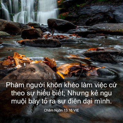 Picture 03 - Châm Ngôn 13:16 VIE - Phàm người khôn khéo làm việc cứ theo - Bible Verse Picture