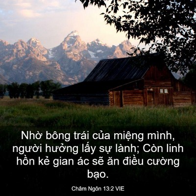 Picture 03 - Châm Ngôn 13:2 VIE - Nhờ bông trái của miệng mình, người - Bible Verse Picture