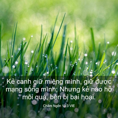 Picture 03 - Châm Ngôn 13:3 VIE - Kẻ canh giữ miệng mình, giữ được - Bible Verse Picture