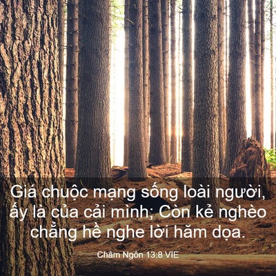 Picture 03 - Châm Ngôn 13:8 VIE - Giá chuộc mạng sống loài người, ấy - Bible Verse Picture
