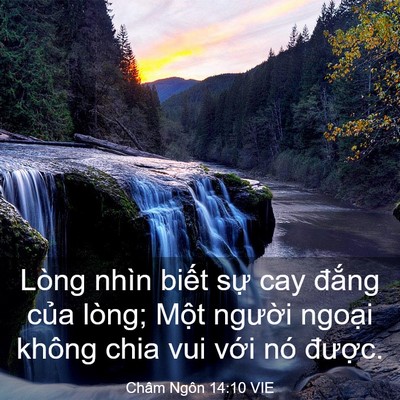 Picture 03 - Châm Ngôn 14:10 VIE - Lòng nhìn biết sự cay đắng của lòng; - Bible Verse Picture