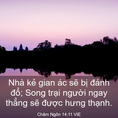 Picture 03 - Châm Ngôn 14:11 VIE - Nhà kẻ gian ác sẽ bị đánh đổ; Song - Bible Verse Picture