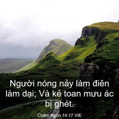 Picture 03 - Châm Ngôn 14:17 VIE - Người nóng nảy làm điên làm dại; Và - Bible Verse Picture