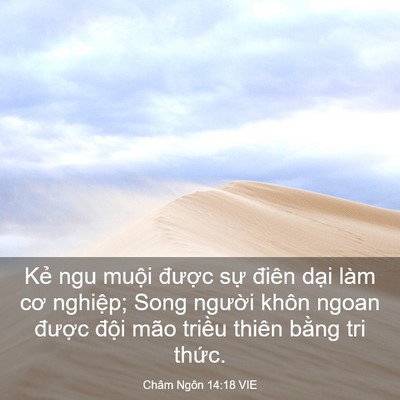Picture 03 - Châm Ngôn 14:18 VIE - Kẻ ngu muội được sự điên dại làm - Bible Verse Picture