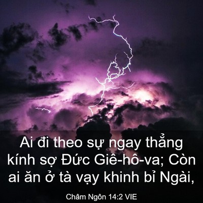 Picture 03 - Châm Ngôn 14:2 VIE - Ai đi theo sự ngay thẳng kính sợ Đức - Bible Verse Picture