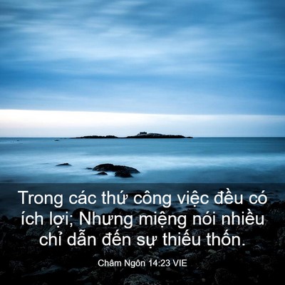 Picture 03 - Châm Ngôn 14:23 VIE - Trong các thứ công việc đều có ích - Bible Verse Picture