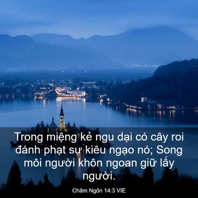 Picture 03 - Châm Ngôn 14:3 VIE - Trong miệng kẻ ngu dại có cây roi đánh - Bible Verse Picture