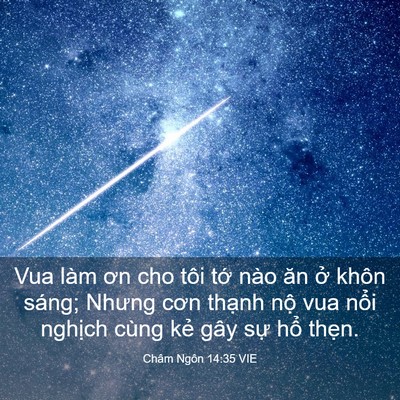 Picture 03 - Châm Ngôn 14:35 VIE - Vua làm ơn cho tôi tớ nào ăn ở khôn - Bible Verse Picture