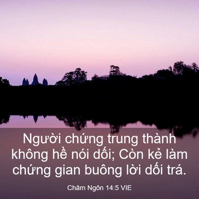 Picture 03 - Châm Ngôn 14:5 VIE - Người chứng trung thành không hề nói - Bible Verse Picture