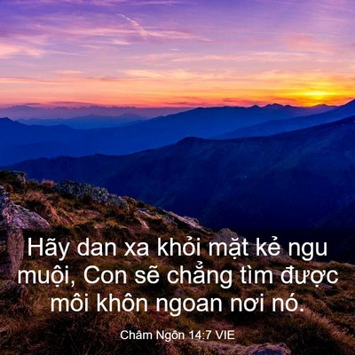 Picture 03 - Châm Ngôn 14:7 VIE - Hãy dan xa khỏi mặt kẻ ngu muội, Con - Bible Verse Picture