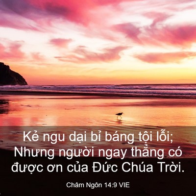 Picture 03 - Châm Ngôn 14:9 VIE - Kẻ ngu dại bỉ báng tội lỗi; Nhưng - Bible Verse Picture