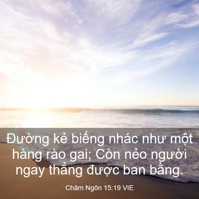 Picture 03 - Châm Ngôn 15:19 VIE - Đường kẻ biếng nhác như một hàng - Bible Verse Picture