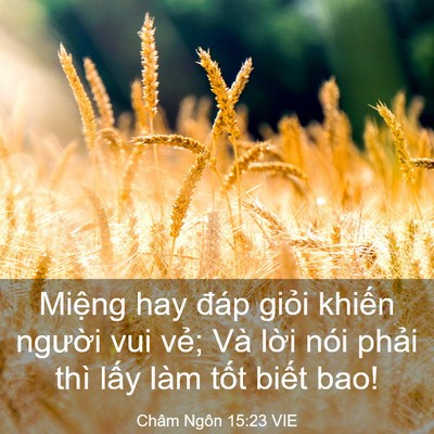 Picture 03 - Châm Ngôn 15:23 VIE - Miệng hay đáp giỏi khiến người vui - Bible Verse Picture