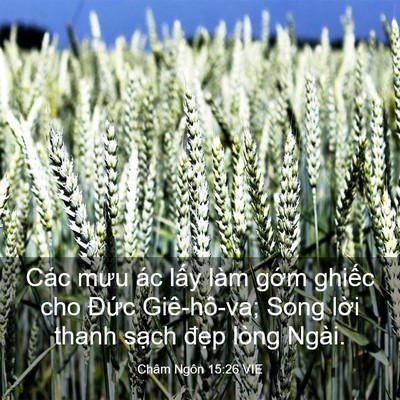 Picture 03 - Châm Ngôn 15:26 VIE - Các mưu ác lấy làm gớm ghiếc cho Đức - Bible Verse Picture