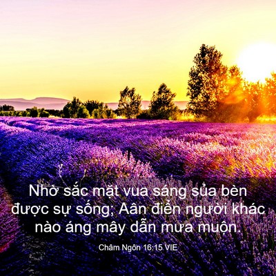Picture 03 - Châm Ngôn 16:15 VIE - Nhờ sắc mặt vua sáng sủa bèn được - Bible Verse Picture
