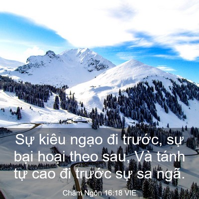 Picture 03 - Châm Ngôn 16:18 VIE - Sự kiêu ngạo đi trước, sự bại hoại - Bible Verse Picture