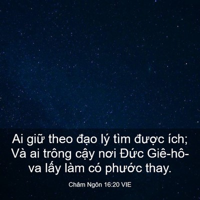 Picture 03 - Châm Ngôn 16:20 VIE - Ai giữ theo đạo lý tìm được ích; Và - Bible Verse Picture